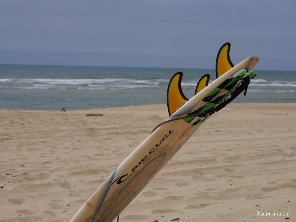 Au Coeur Du Bassin D'Arcachon Leilighet Gujan-Mestras Eksteriør bilde