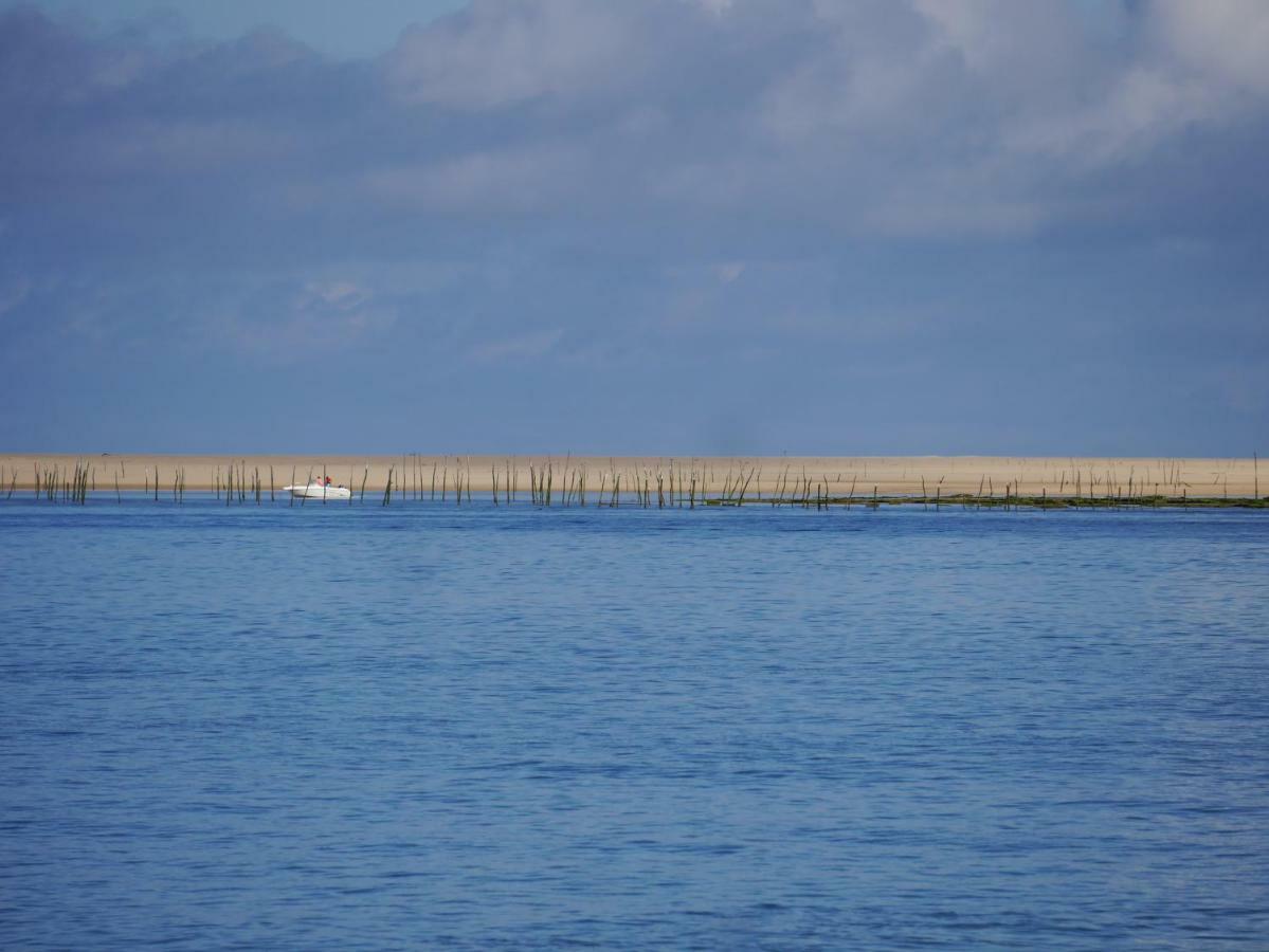 Au Coeur Du Bassin D'Arcachon Leilighet Gujan-Mestras Eksteriør bilde